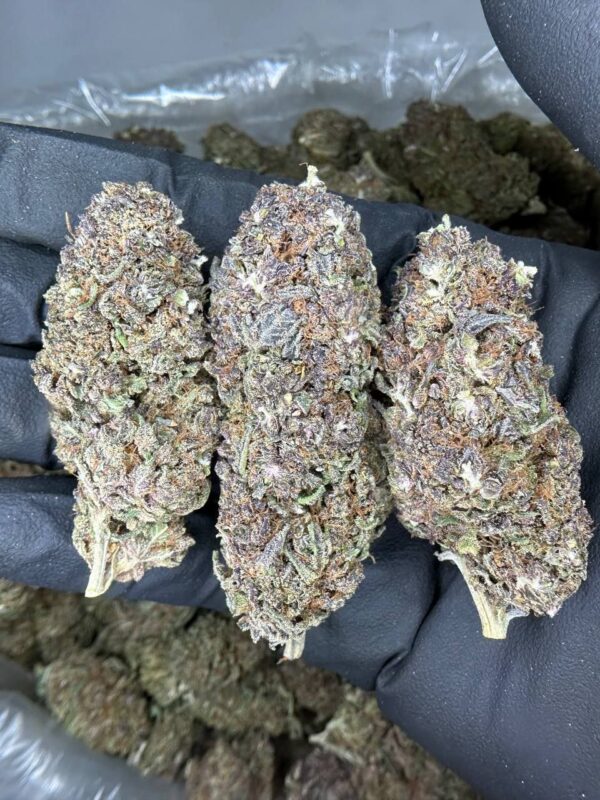 Grand Daddy Purple💜 NOSE 8/10