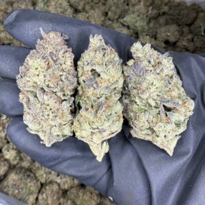 Purple Punch