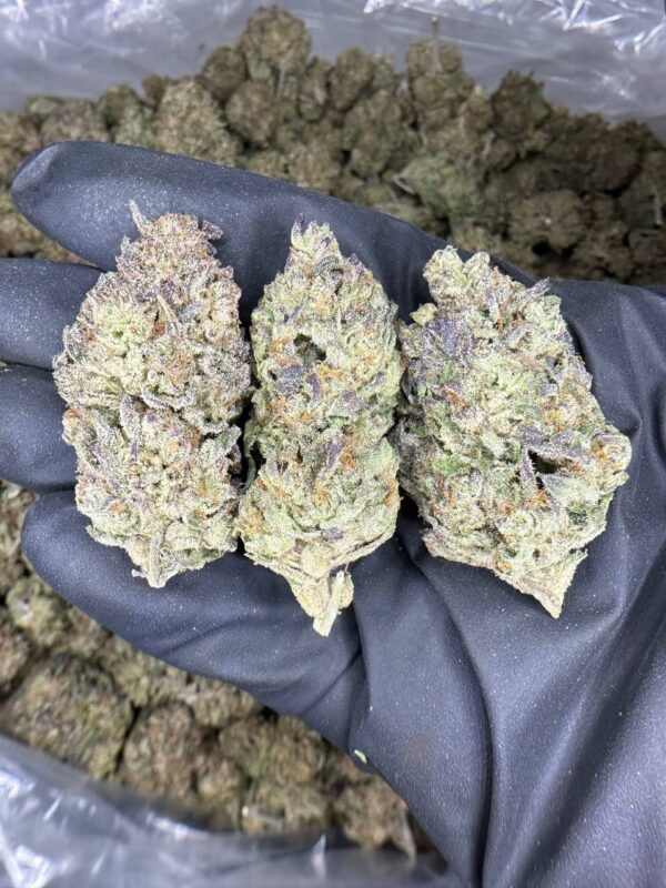 Purple Punch