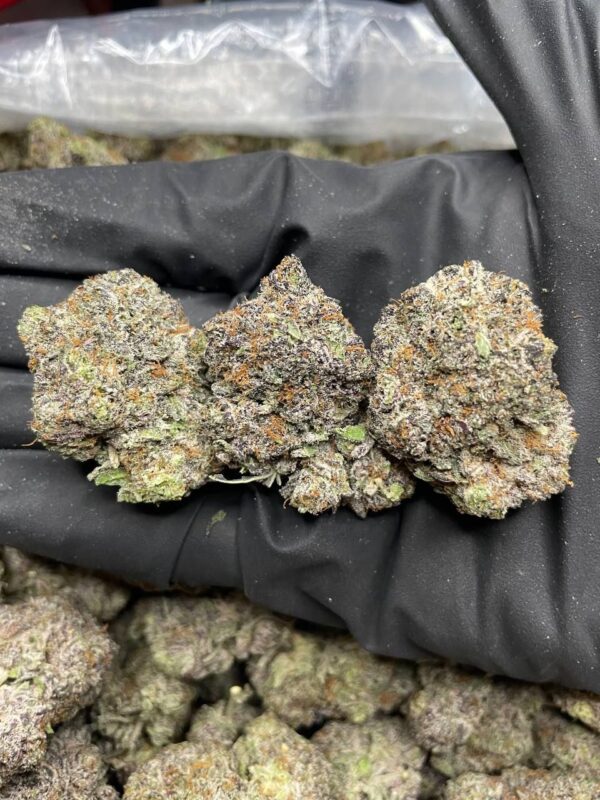 Purple Granimals