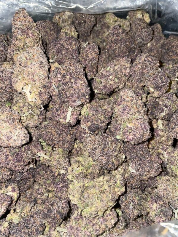 Purple Urkle